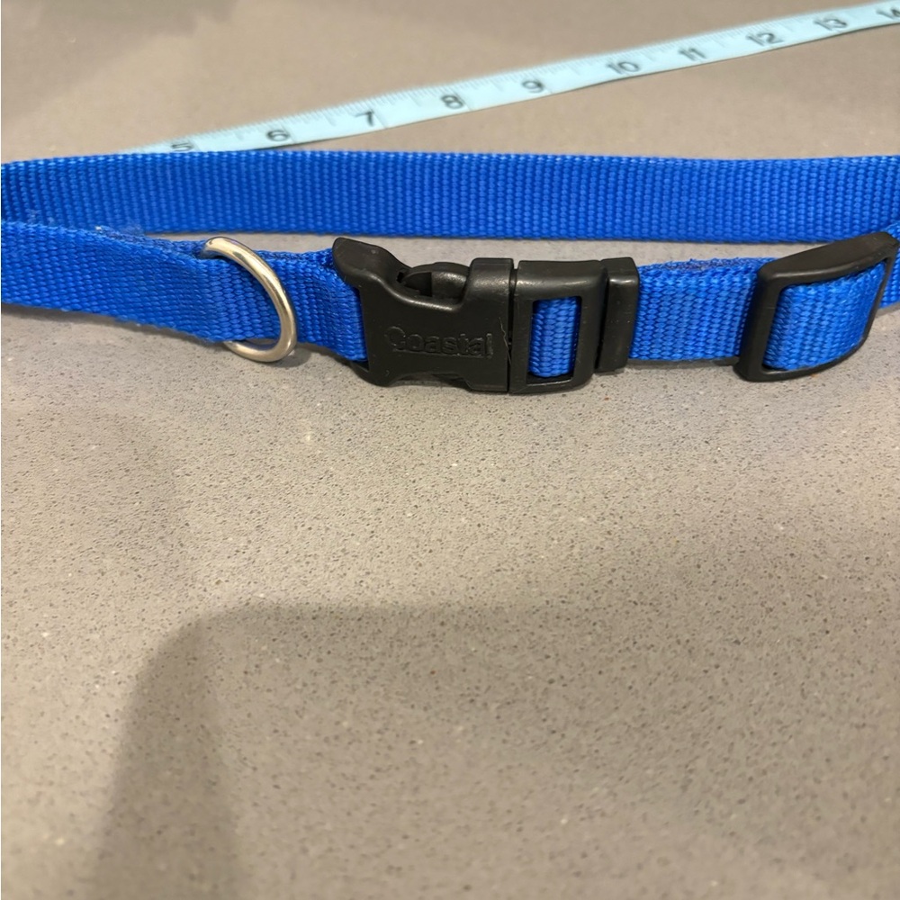 Dog collar - Picture 2 of 2